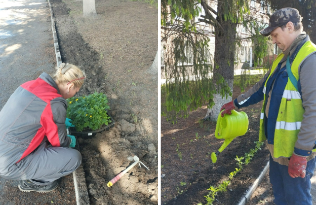 Сотрудники административно-бытового комплекса ООО «Разрез Тайлепский» высадили 600 корней цветов
