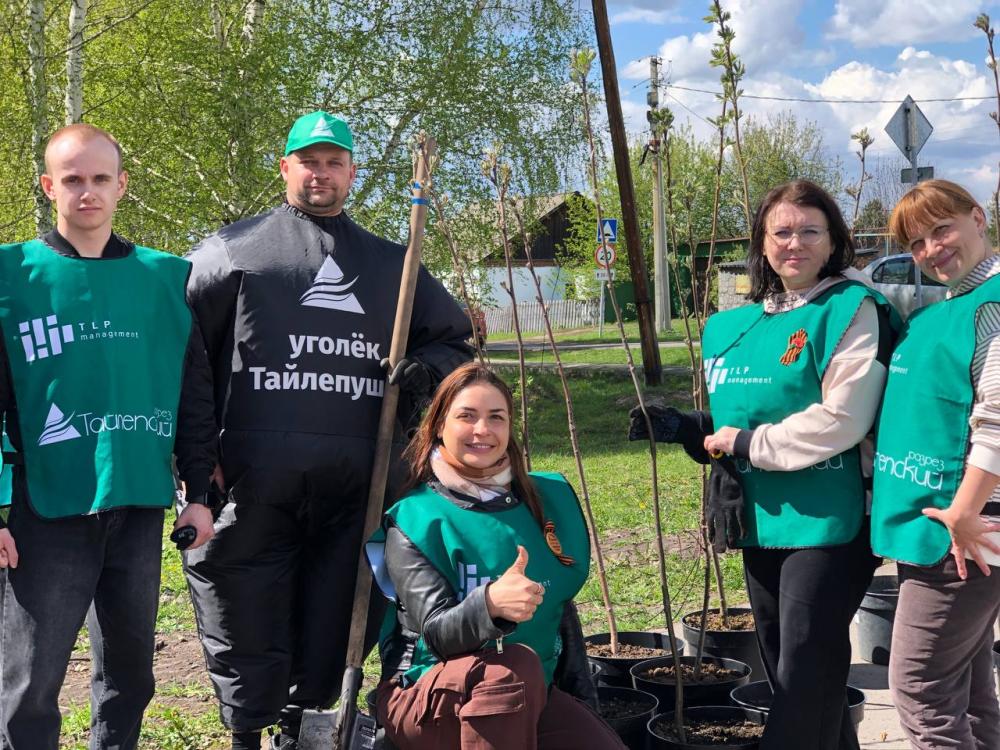 «Разрез Тайлепский» продолжает озеленять территории Калтанского и Новокузнецкого округов