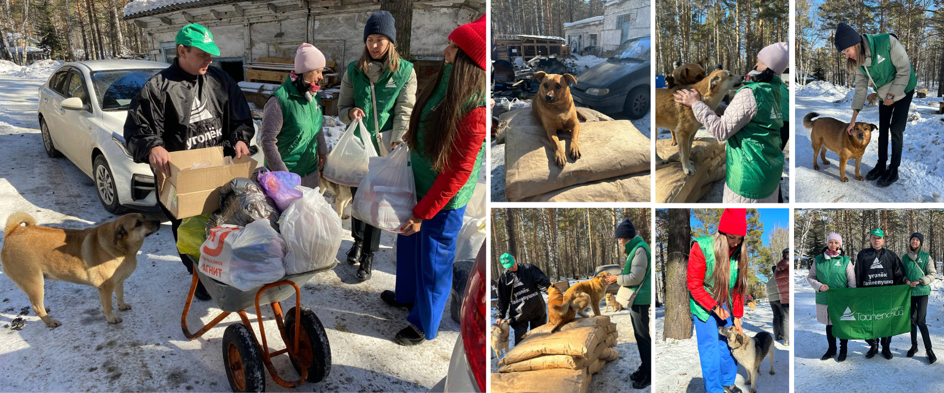 Сотрудники ООО «Разрез Тайлепский» оказали помощь приюту для бездомных животных